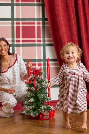 Holiday Cheer Gingham Ruffle Dress - Altar'd State - 