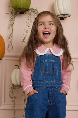 Audrey Peter Pan Cable Knit Sweater - Altar'd State - 