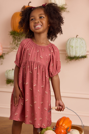 Haley Floral Toddler Dress - Altar'd State