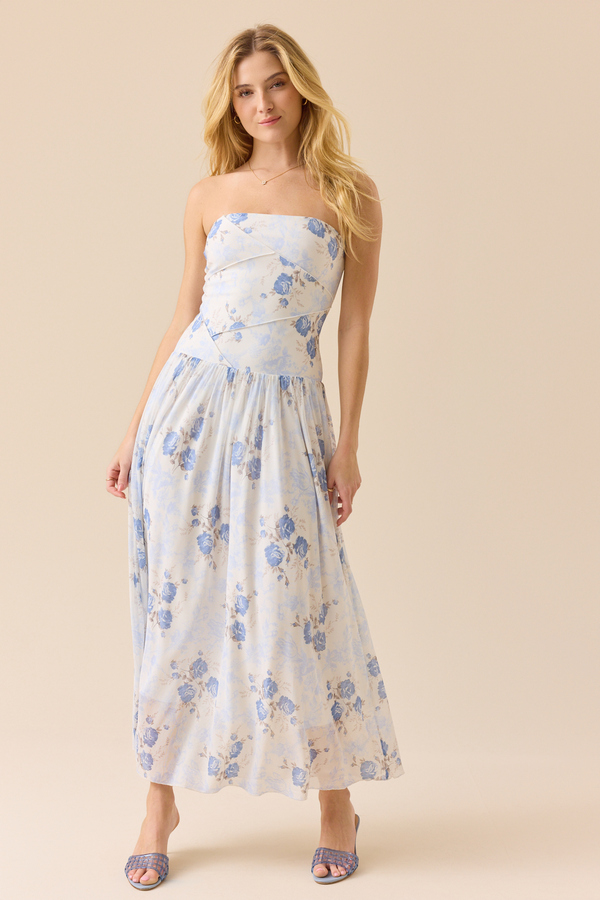 Arden Strapless Floral Maxi Dress in Ivory and Blue | Altar'd State