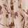 IVORY-BROWN