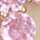 GOLD-PINK