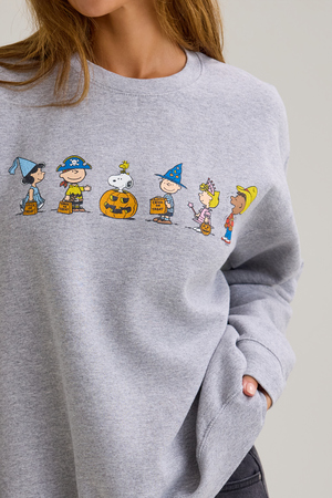 Peanuts Trick Or Treat Pullover - Altar'd State