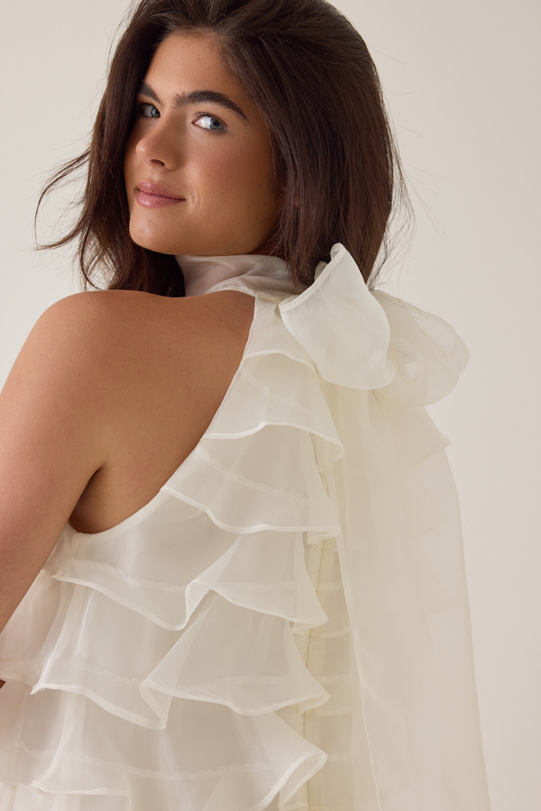 Ashen Ruffle Mini Dress Detail 4 - Altar'd State