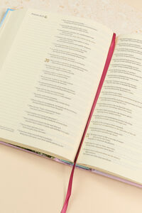 Hosanna Revival NLT Journaling Bible: Beach Theme Detail 2 - Altar'd State