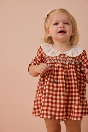 Clementine Gingham Embroidered Baby Dress - Altar'd State - 