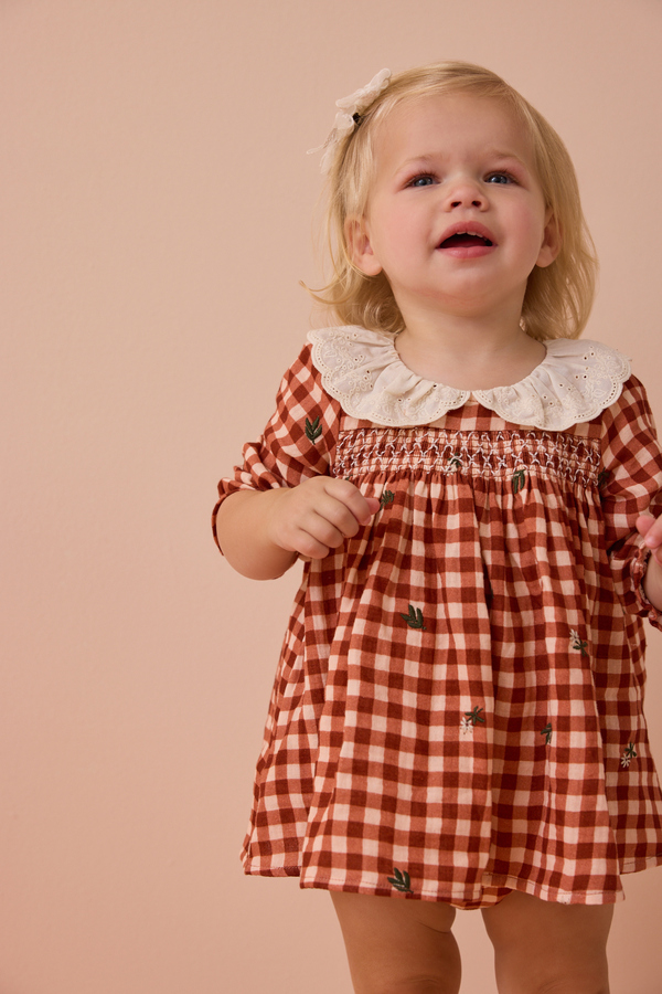 Clementine Gingham Embroidered Baby Dress Detail 5 - Altar'd State