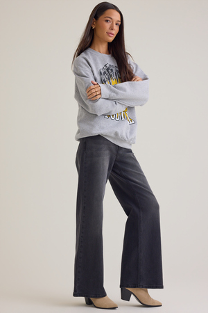 Pittsburgh Steelers Graphic Pullover - Altar'd State - 