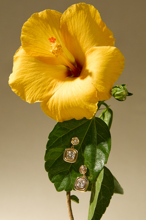 Savanna Square Dangle Earring - Altar'd State - 
