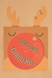 Reindeer Sleeps Until Christmas Book Detail 5 - Altar'd State