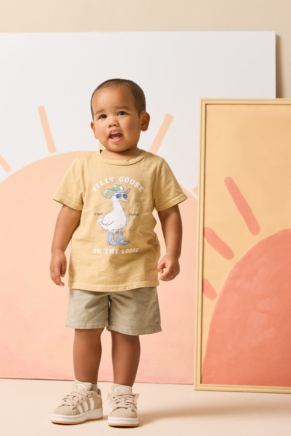 Silly Goose Tee Detail 4 - Altar'd State