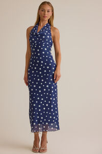 Bea Cowl Neck Maxi Dress - Altar'd State