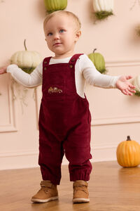 Feeling Fall Corduroy Overalls - Altar'd State