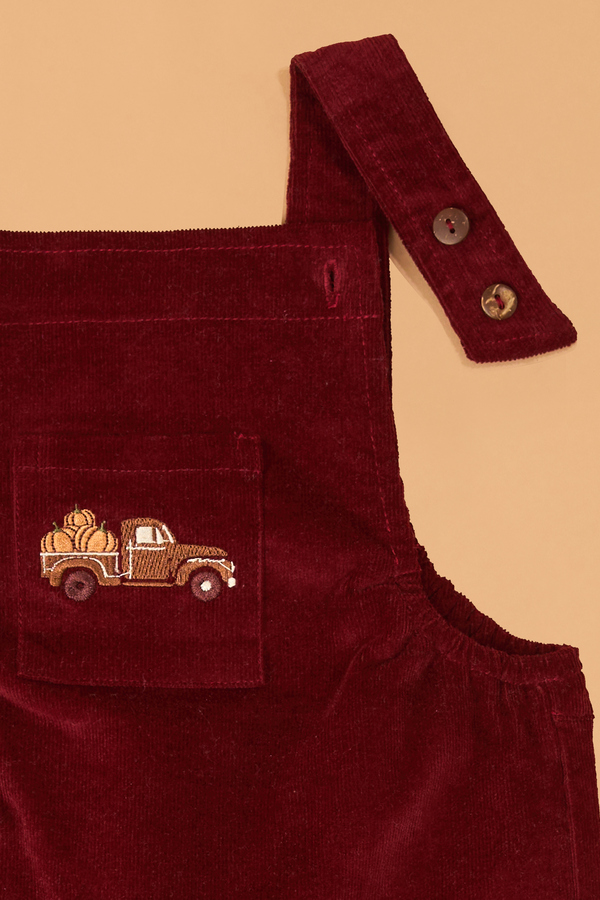 Feeling Fall Corduroy Overalls Detail 2 - Altar'd State
