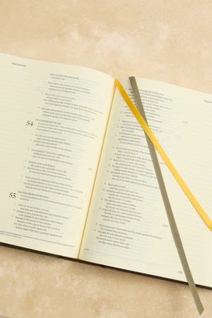 Hosanna Revival Notetaking Bible- Florence Theme - Altar'd State