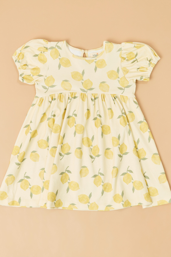 Lucia Lemons Puff Sleeve Dress Detail 2 - Altar'd State