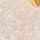 GOLD-IVORY