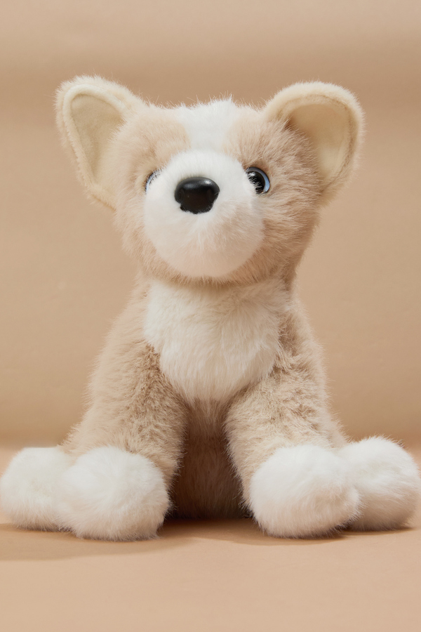 Pookie Pomsky Plush Detail 2 - Altar'd State