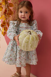 Diana Ditsy Floral Dress Detail 3 - Altar'd State