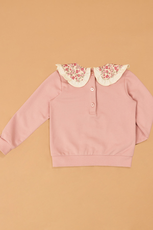 Sara Ruffle Collar Long Sleeve - Altar'd State