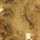 WORN-GOLD