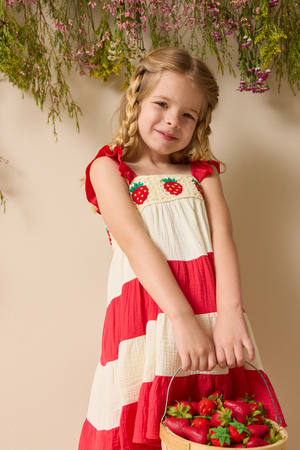 Sadie Strawberry Dress - Altar'd State - 