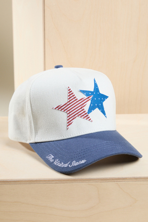 USA Star Trucker Hat - Altar'd State - 