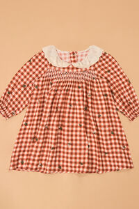 Clementine Gingham Embroidered Toddler Dress - Altar'd State
