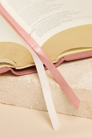 Hosanna Revival Notetaking Bible- Rosedal Theme - Altar'd State - 