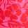 PINK-RED