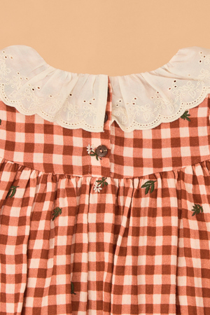 Clementine Gingham Embroidered Toddler Dress - Altar'd State