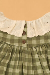 Haven Peter Pan Gingham Toddler Dress Detail 3 - Altar'd State