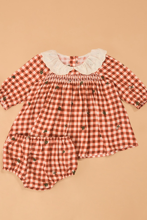 Clementine Gingham Embroidered Baby Dress - Altar'd State