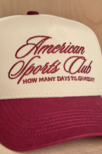 American Dream Sports Club Trucker Hat Detail 2 - Altar'd State