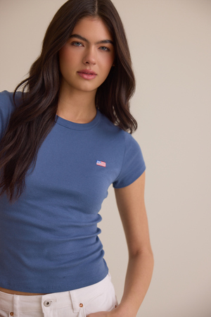 Americana Flag Baby Tee - Altar'd State - 