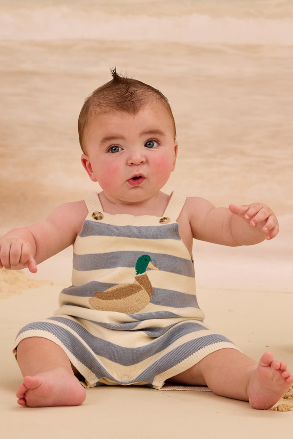 Duck Embroidered Stripe Shortall - Altar'd State