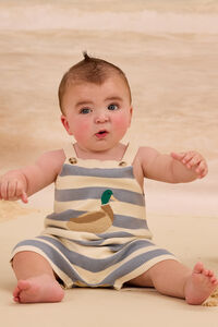 Duck Embroidered Stripe Shortall - Altar'd State