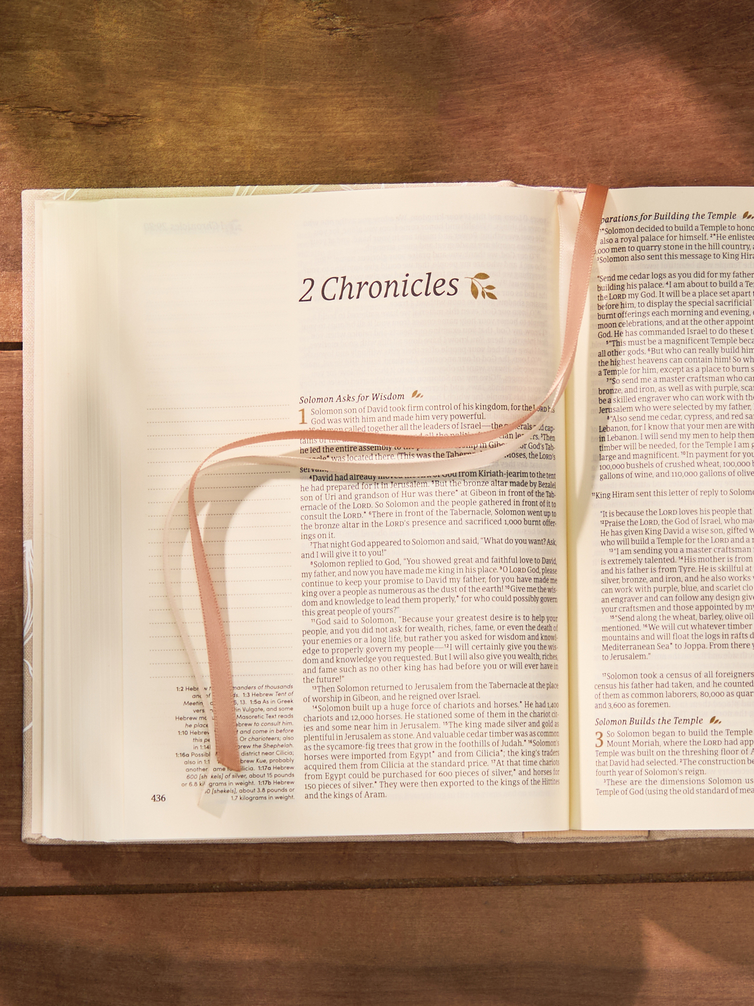 Hosanna Revival NLT Journaling Bible: Cordova Theme
