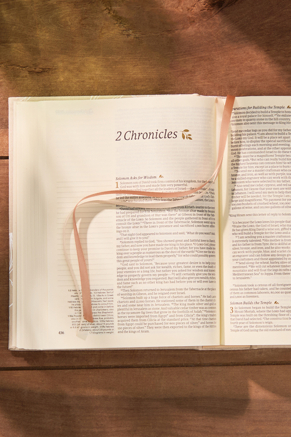Hosanna Revival NLT Journaling Bible: Cordova Theme Detail 3 - Altar'd State