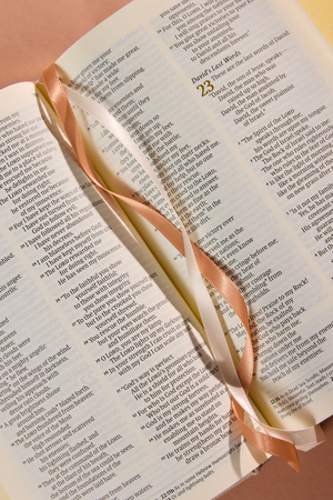 Hosanna Revival Compact Bible- Casablanca Theme NLT - Altar'd State - 