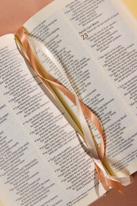 Hosanna Revival Compact Bible- Casablanca Theme NLT Detail 2 - Altar'd State