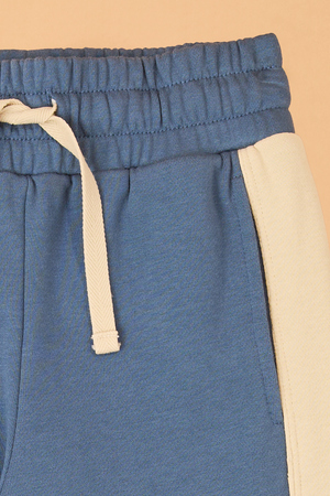 Walker Striped Jogger - Altar'd State - 
