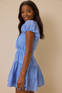 Alexa Puff Sleeve Mini Dress Detail 3 - Altar'd State