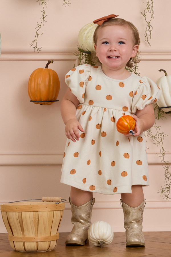 Sweet Squash Puff Sleeve Baby Dress Detail 5 - Altar'd State