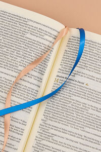 Hosanna Revival Notetaking Bible- Oxford Stamp CSB Translation Detail 3 - Altar'd State