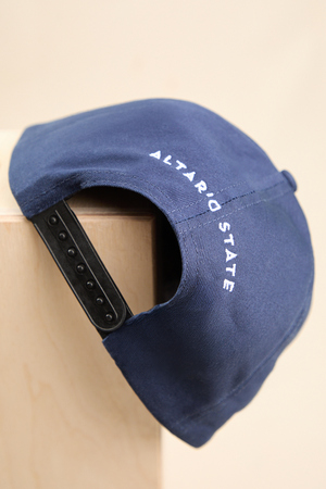 New York Stripe Trucker - Altar'd State - 