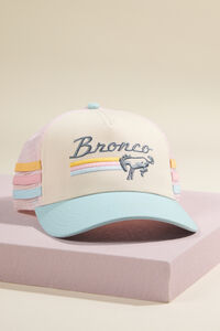 Striped Bronco Trucker Hat - Altar'd State