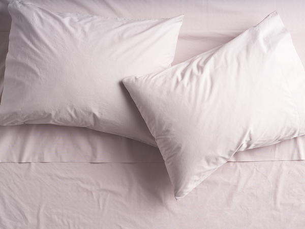 Organic Cotton Percale Single Pillowcase - Altar'd State - 