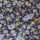 NAVY-MULTI