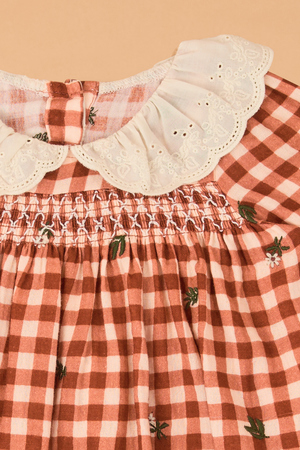 Clementine Gingham Embroidered Baby Dress - Altar'd State